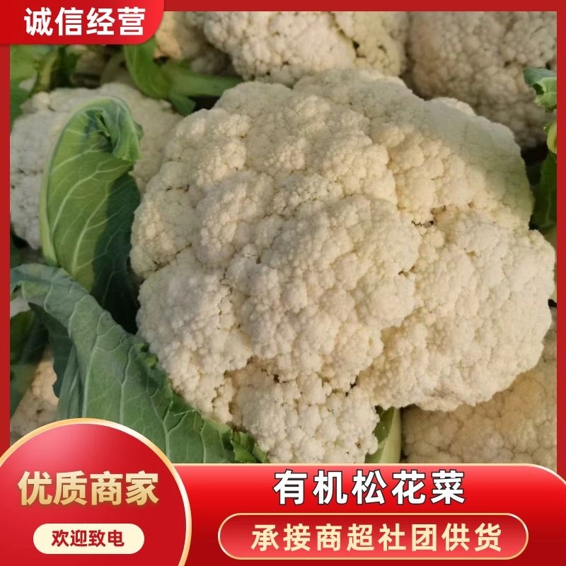 有机松花菜菜花白面青梗散花承接商超社团供货代收代发