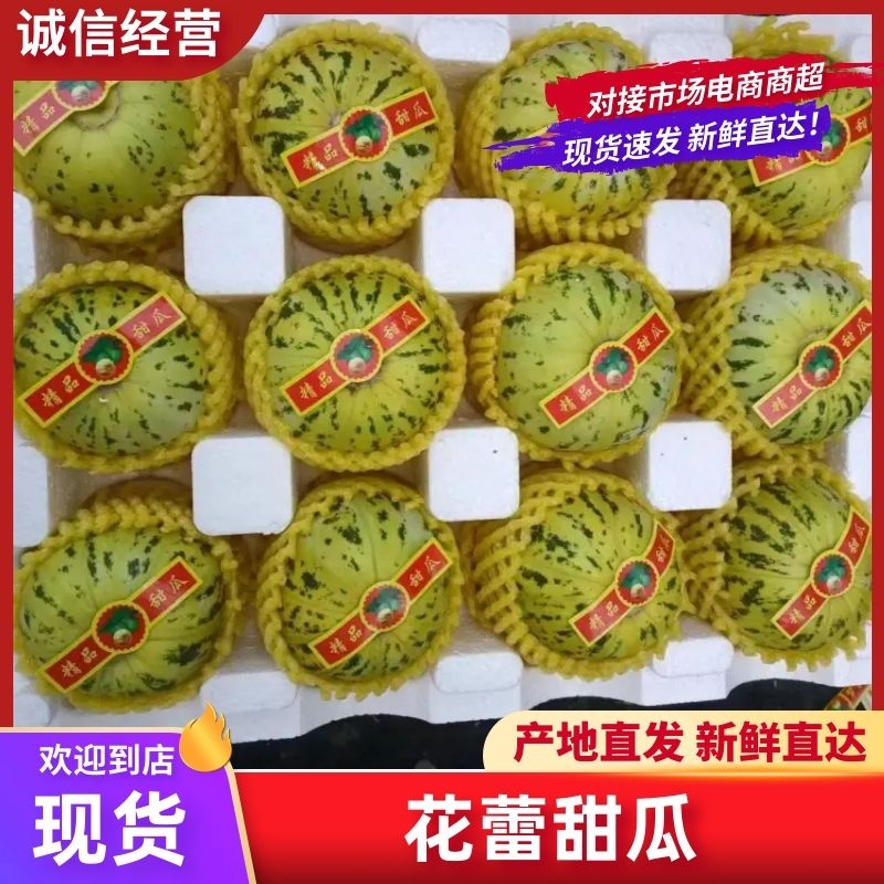【热卖中】辽宁花蕾甜瓜花瓜精品商超货档口货可对接各平台