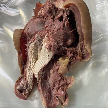 精品牛脸牛头肉长期供应品质保证欢迎来电洽谈价更优惠