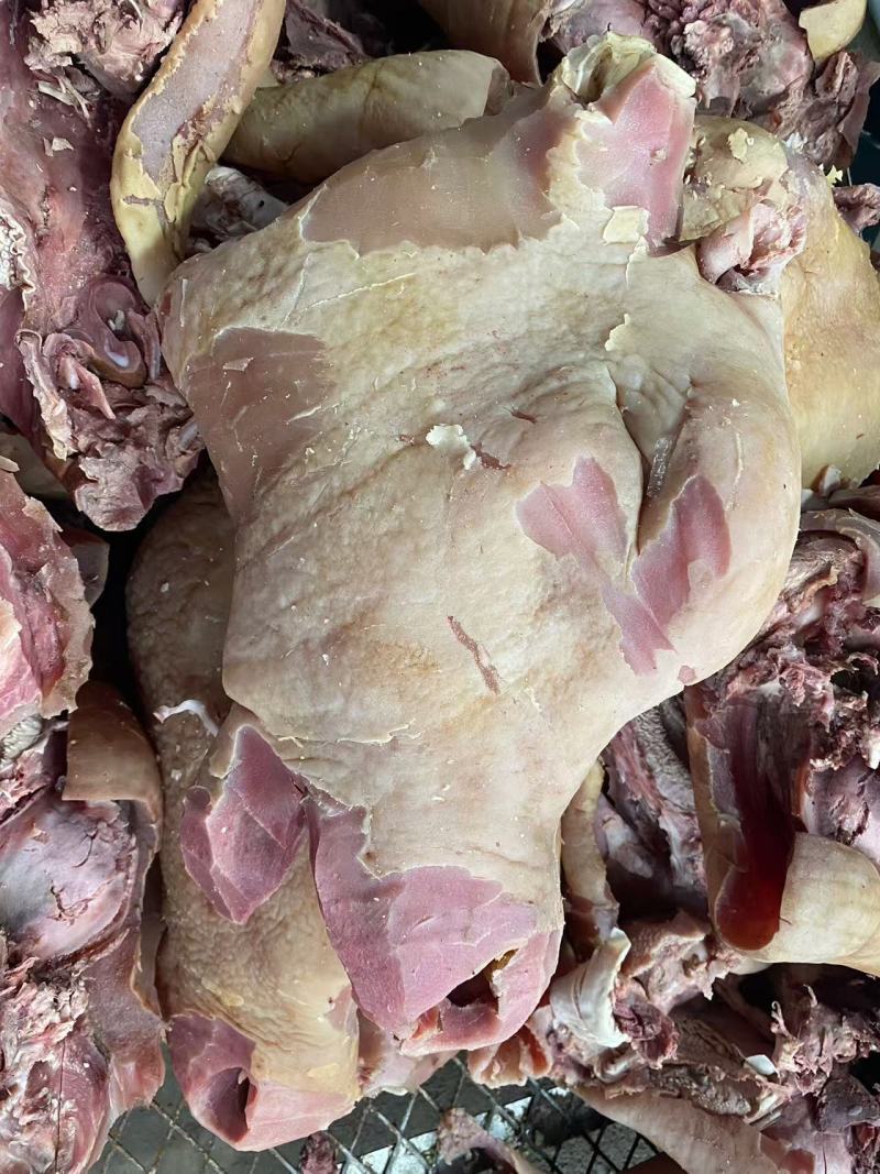 精品牛脸牛头肉长期供应品质保证欢迎来电洽谈价更优惠