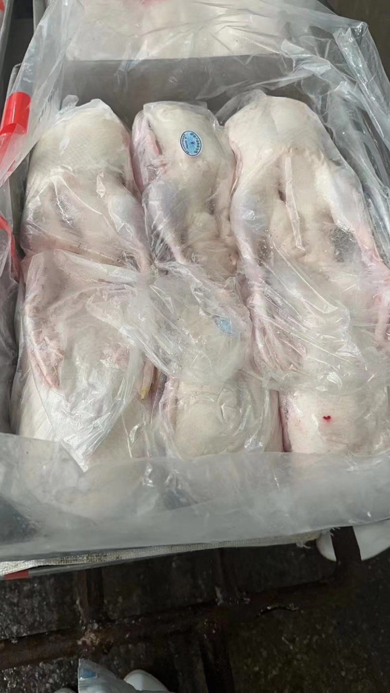 雁鹅白条，白条鹅，基地直供，规格齐全，量大优惠。