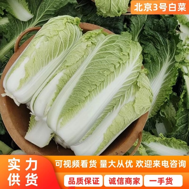 北京三号白菜提供各种规格包装无烧心品质保证全国发货