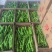 新鲜辣椒精品螺丝椒电商市场商超货源量大从优