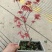 盆景花卉