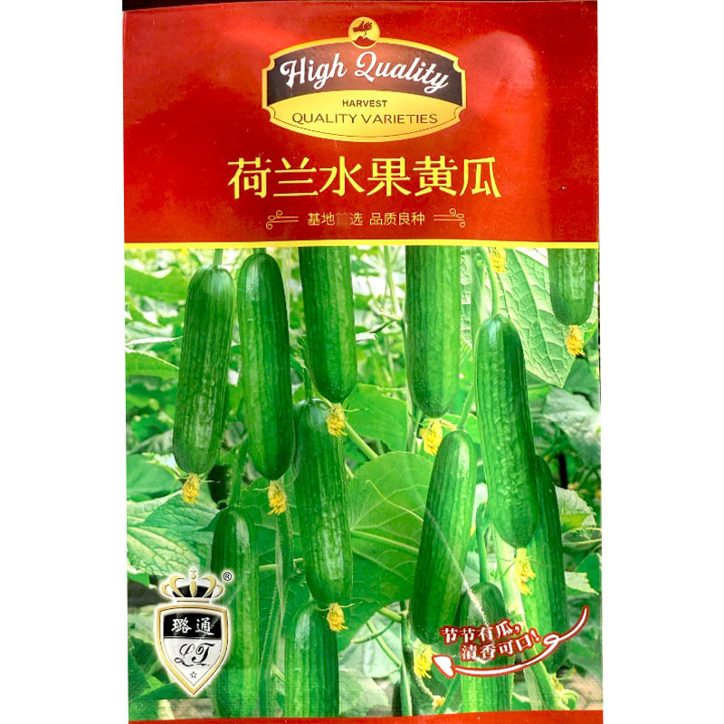 荷兰水果黄瓜种子全雌无刺短棒节节有瓜清香脆甜