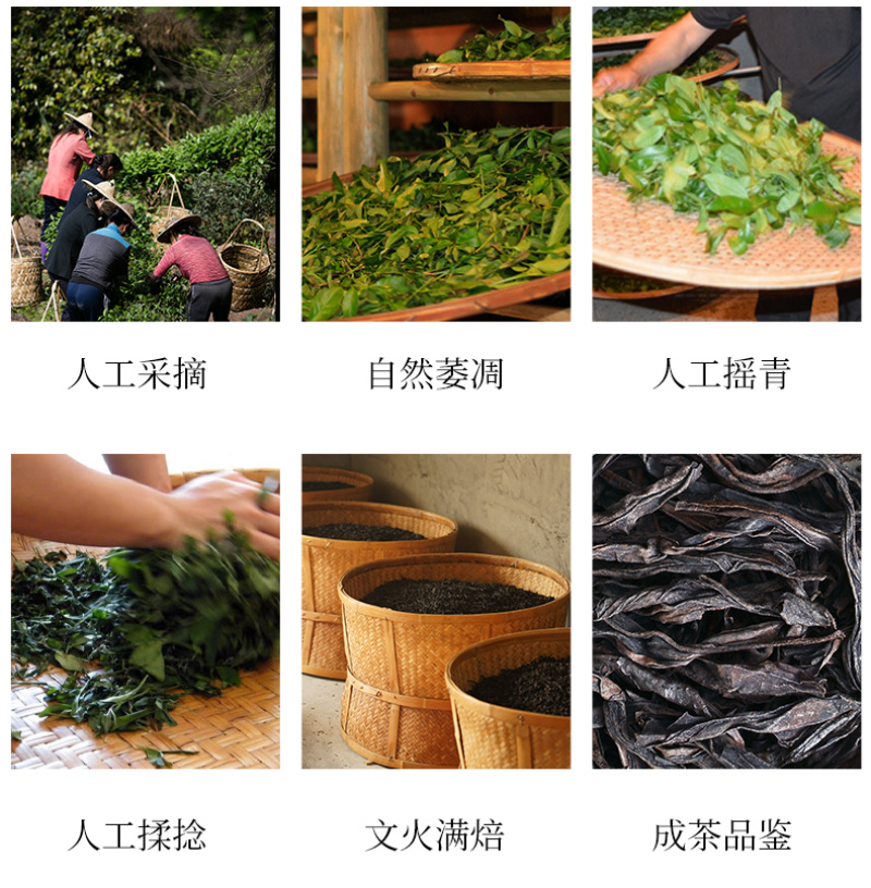 正岩肉桂新茶上市货源充足厂家直销价格实惠欢迎品尝