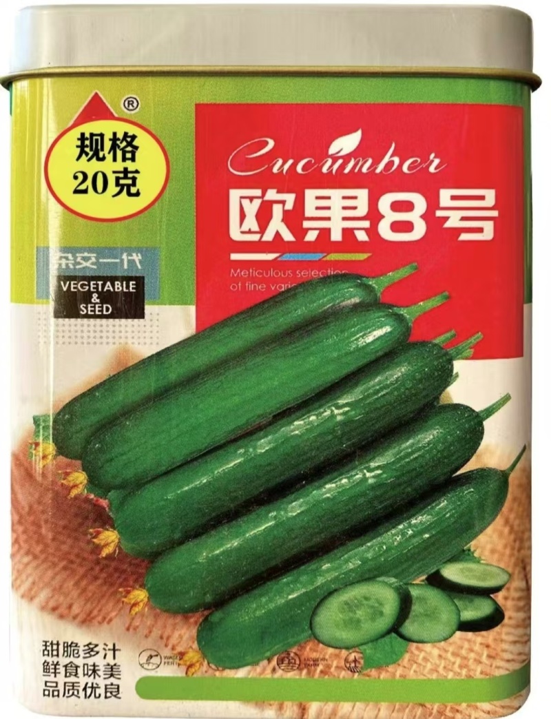 欧果8号水果黄瓜种子抗病结果瓜多质脆味甜