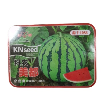 科农美都西瓜种子圆实圆形瓤大红色甜而多汁果皮较硬