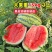 西农八号西瓜种子可重茬绿花皮大红瓤肉质脆汁多爽口