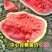 西农八号西瓜种子可重茬绿花皮大红瓤肉质脆汁多爽口