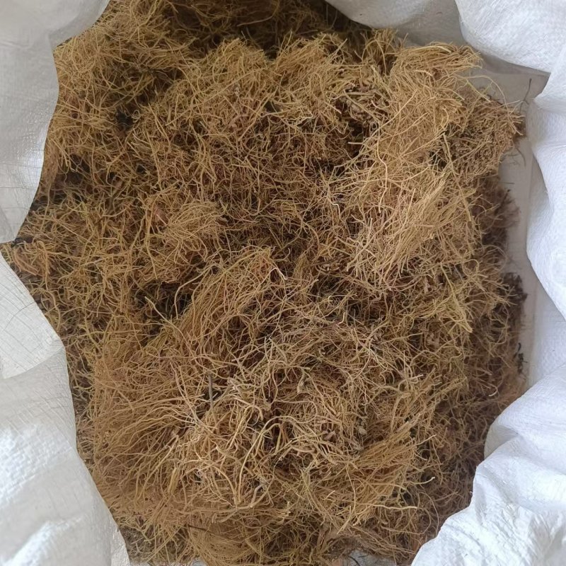 细辛辽细辛新货干净无杂质质量好中药材批发供应