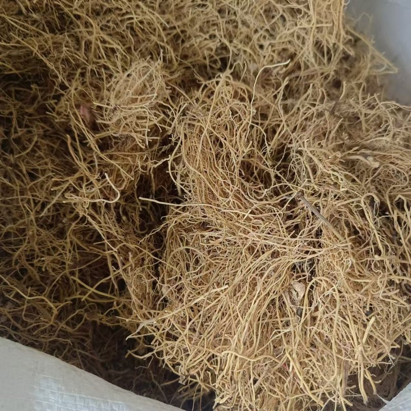 细辛辽细辛新货干净无杂质质量好中药材批发供应