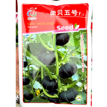 墨贝五号贝贝南瓜种子1000粒原装粉糯香甜栗味回甘