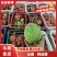 云南释迦果新鲜上市，视频看货，对接商超市场电商社区团购