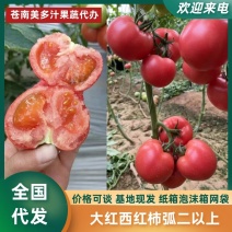 【按需包装】西红柿大红西红柿弧二以上常年有货提供包装