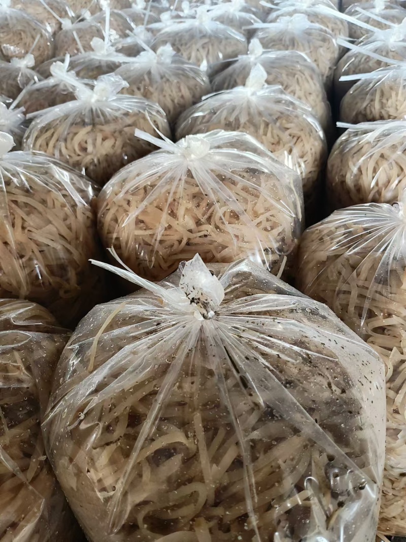腌制芥菜头可以制作成丝量大质优价格优惠欢迎采购