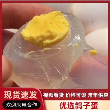 【推荐】新鲜鸽子蛋精选大鸽蛋价格美丽产地直发欢迎咨询下单