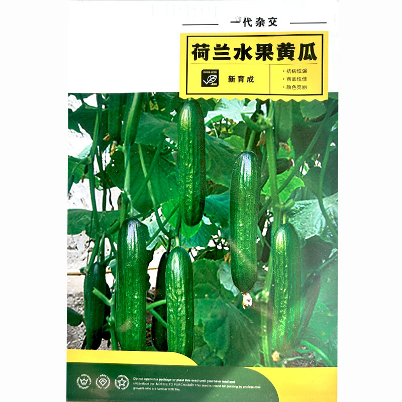 荷兰水果黄瓜种子早熟亮绿色刺极少小青瓜一节一瓜