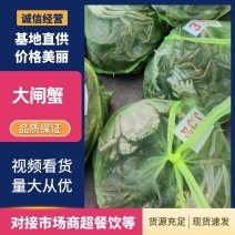 洪湖清水蟹河蟹螃蟹汈汊湖大闸蟹排湖大闸蟹精挑精钢腿