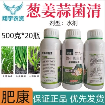 青岛肥佬肥康葱姜蒜菌清微生物菌剂