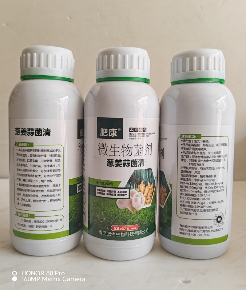 青岛肥佬肥康葱姜蒜菌清微生物菌剂