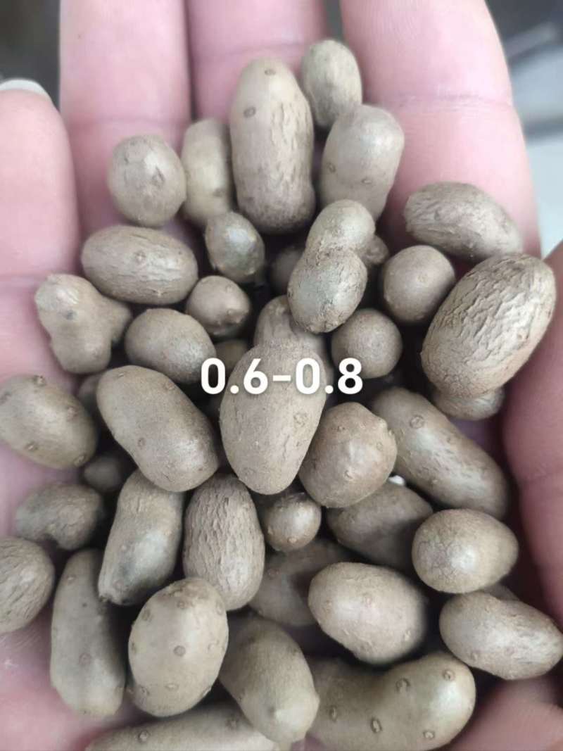 河北蠡县山药豆大量货源规格齐全产地代办代发欢迎联系