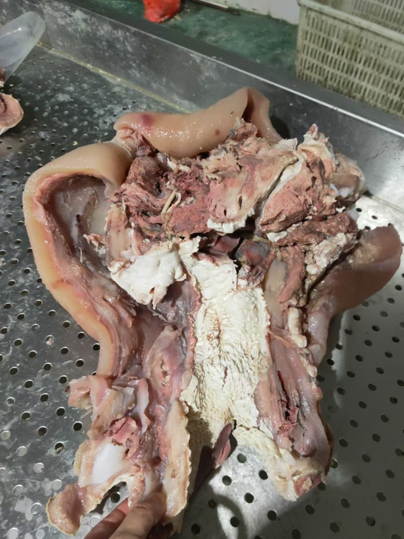 全网低价牛头肉特卖保质保量自产自销现货供应