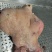 全网低价牛头肉特卖保质保量自产自销现货供应