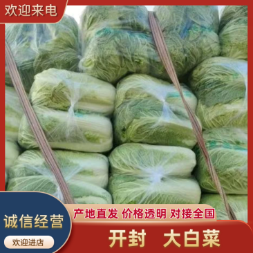 河南开封大白菜新鲜上市，视频看货全国发货，对接商超市场