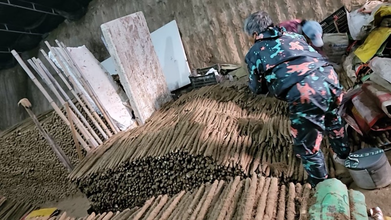 麻山药河北山药产地一手货源品质保障量大优惠