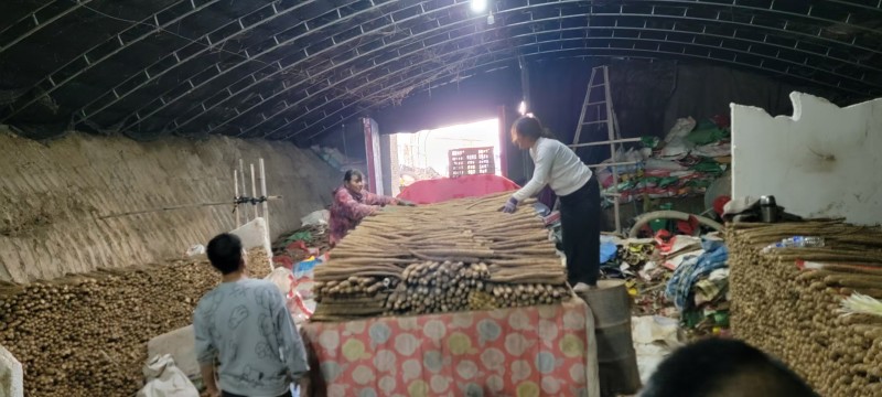 麻山药河北山药产地一手货源品质保障量大优惠