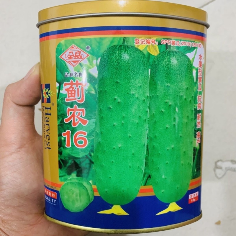 蓟农16旱黄瓜种子水果黄瓜种子耐热心腔小果肉浅绿