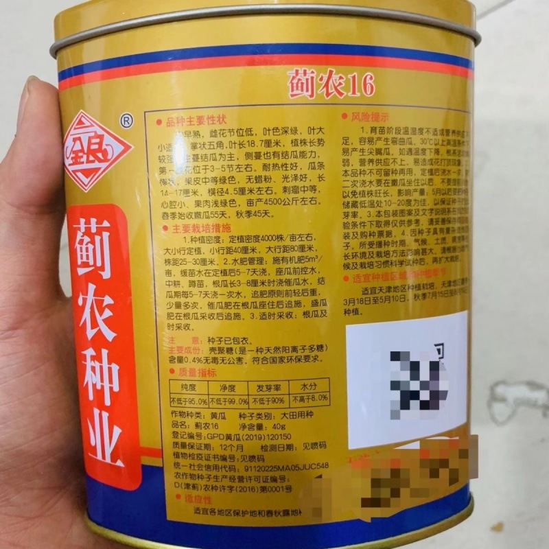 蓟农16旱黄瓜种子水果黄瓜种子耐热心腔小果肉浅绿