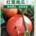 金蜜宝红板栗南瓜种子早熟前期短蔓皮色深红粉质甘面