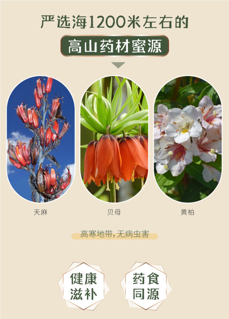 恩施蜂蜜启航500g年货伴手礼