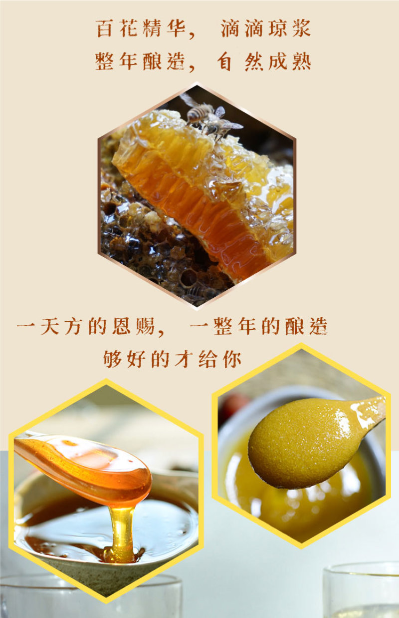恩施蜂蜜启航500g年货伴手礼
