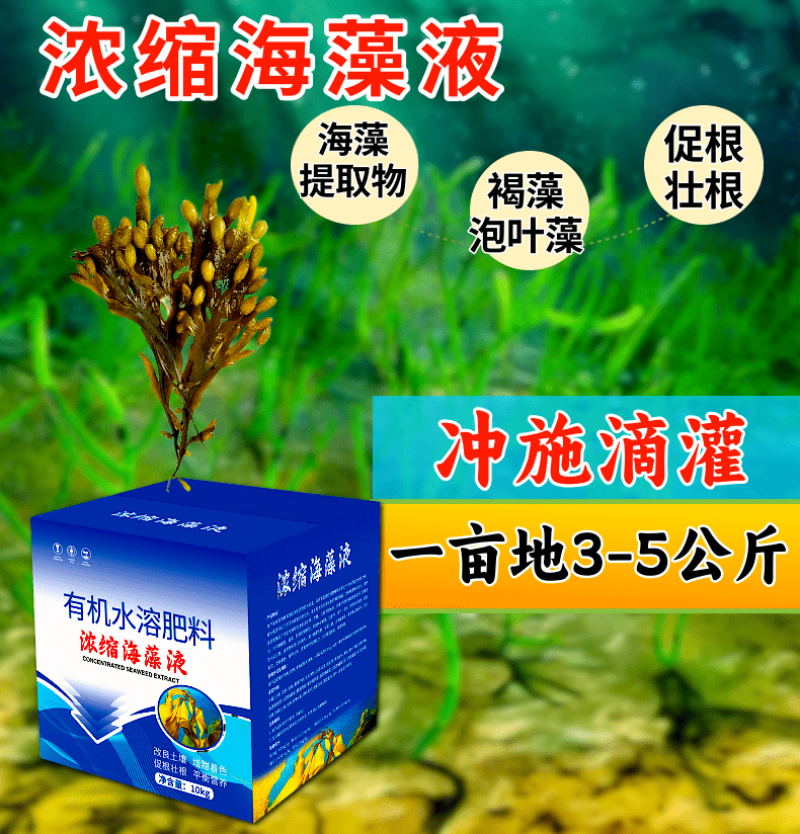 浓缩海藻液促根壮根膨果壮果好原料防寒抗冻深海能量