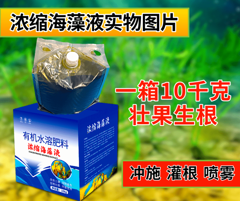 浓缩海藻液促根壮根膨果壮果好原料防寒抗冻深海能量