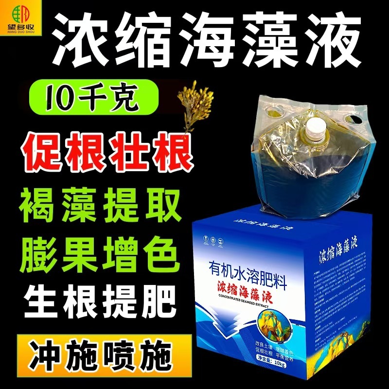 浓缩海藻液促根壮根膨果壮果好原料防寒抗冻深海能量