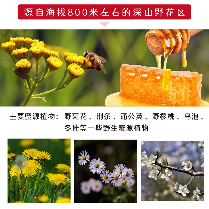 湖北恩施土蜂蜜集秀250g/瓶农家自产木桶自然百花结晶蜜
