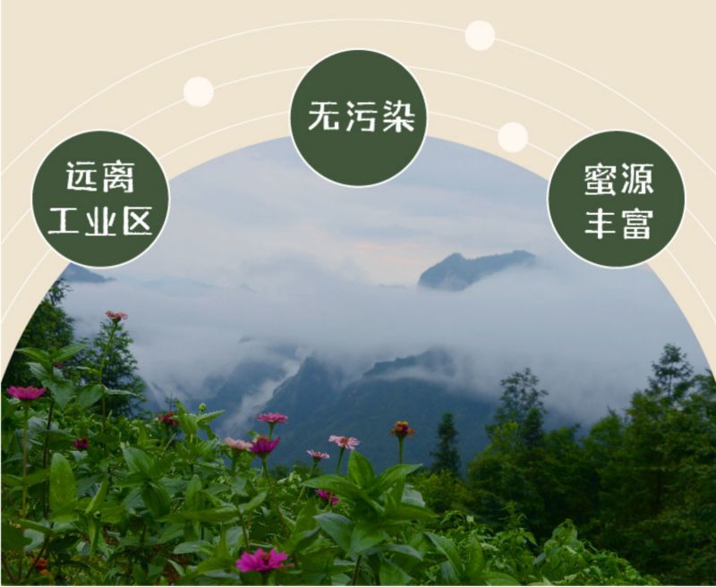 湖北恩施土蜂蜜集秀250g/瓶农家自产木桶自然百花结晶蜜