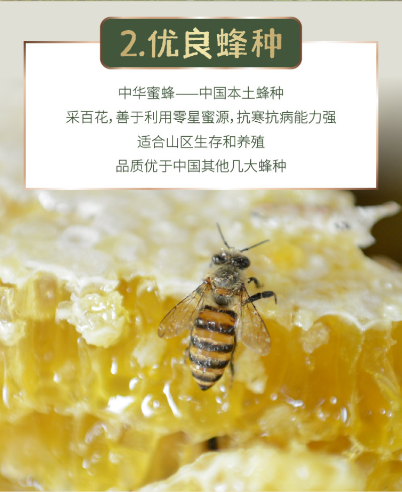 湖北恩施土蜂蜜集秀250g/瓶农家自产木桶自然百花结晶蜜