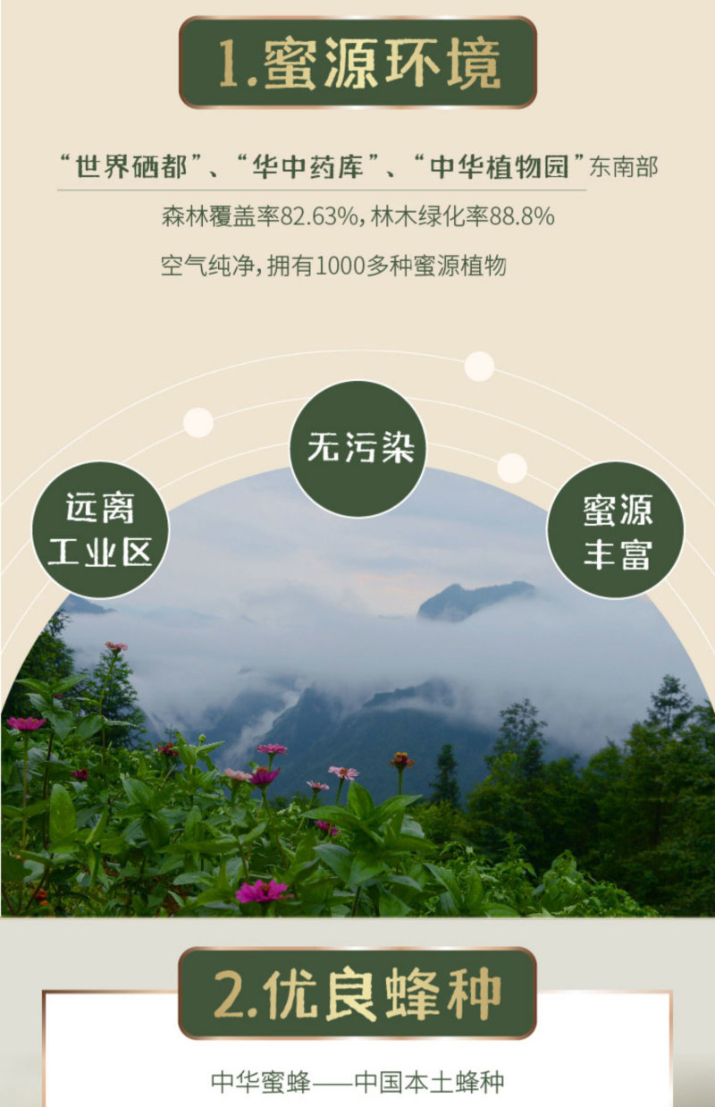 湖北恩施鹤峰高山崖蜜土蜂蜜冬蜜百花蜜送礼礼盒装结晶蜂蜜