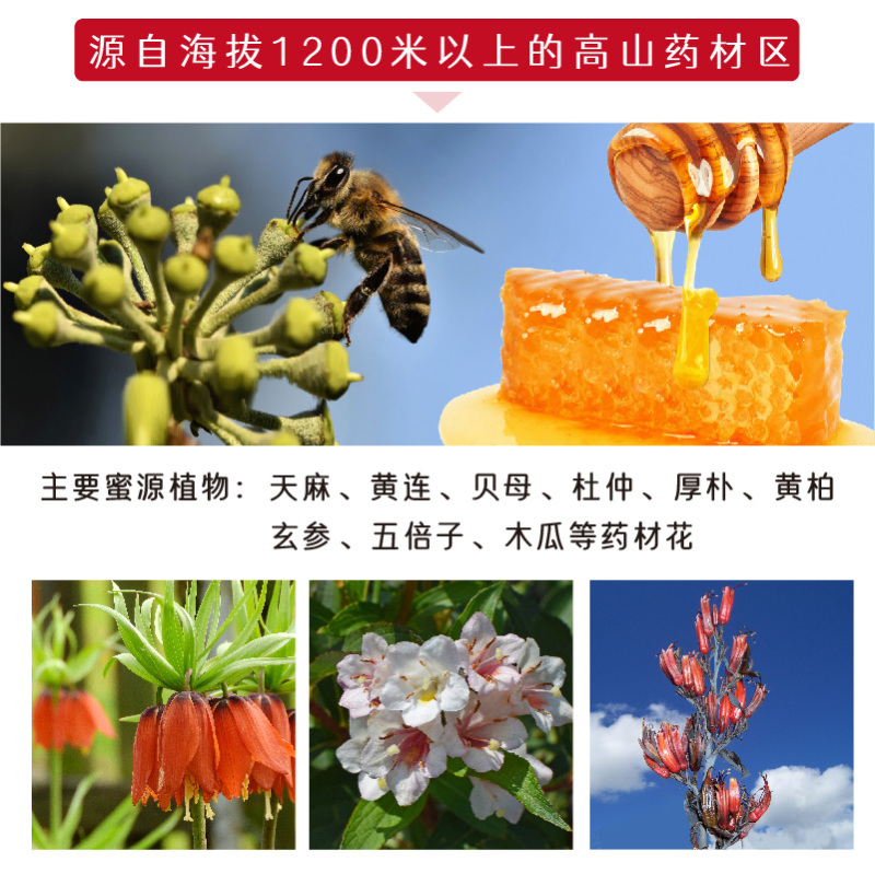 湖北恩施鹤峰土蜂蜜圆桶结晶蜂蜜农家自产高山放养蜂蜜