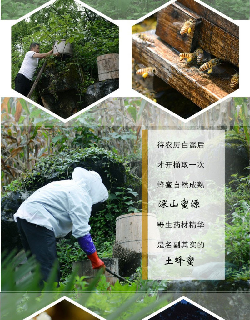 湖北恩施鹤峰土蜂蜜圆桶结晶蜂蜜农家自产高山放养蜂蜜
