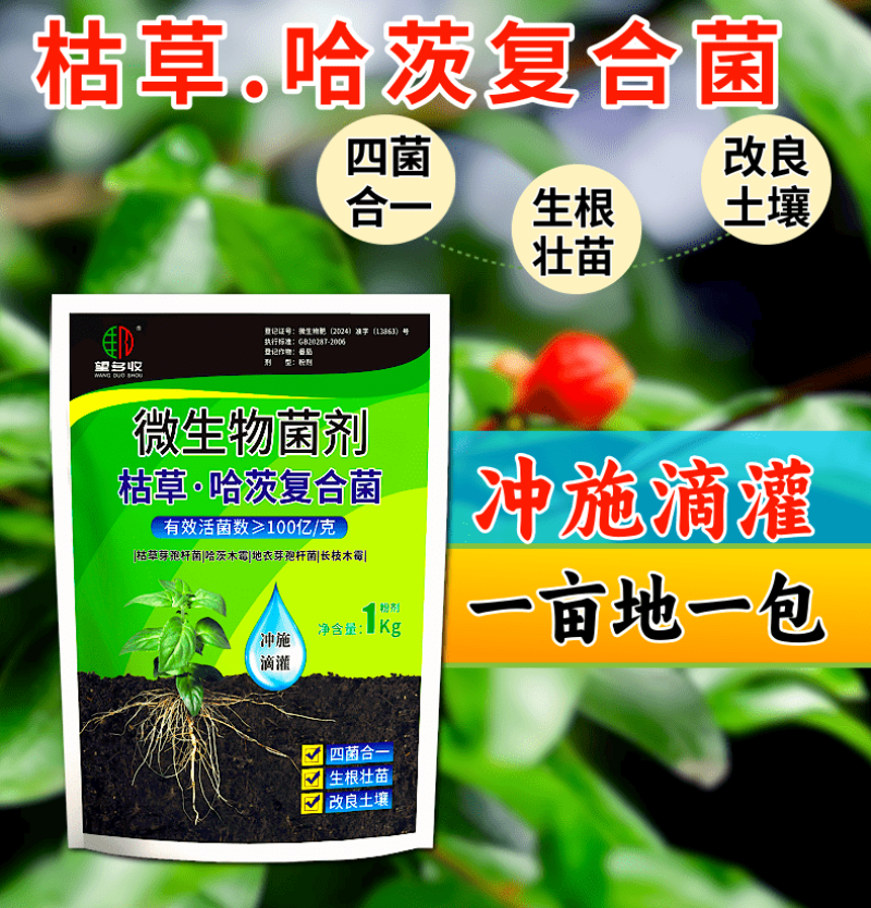 枯草哈茨复合菌四菌合一省时省力改土生根养地调节土壤