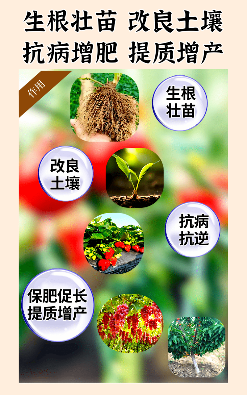 枯草哈茨复合菌四菌合一省时省力改土生根养地调节土壤