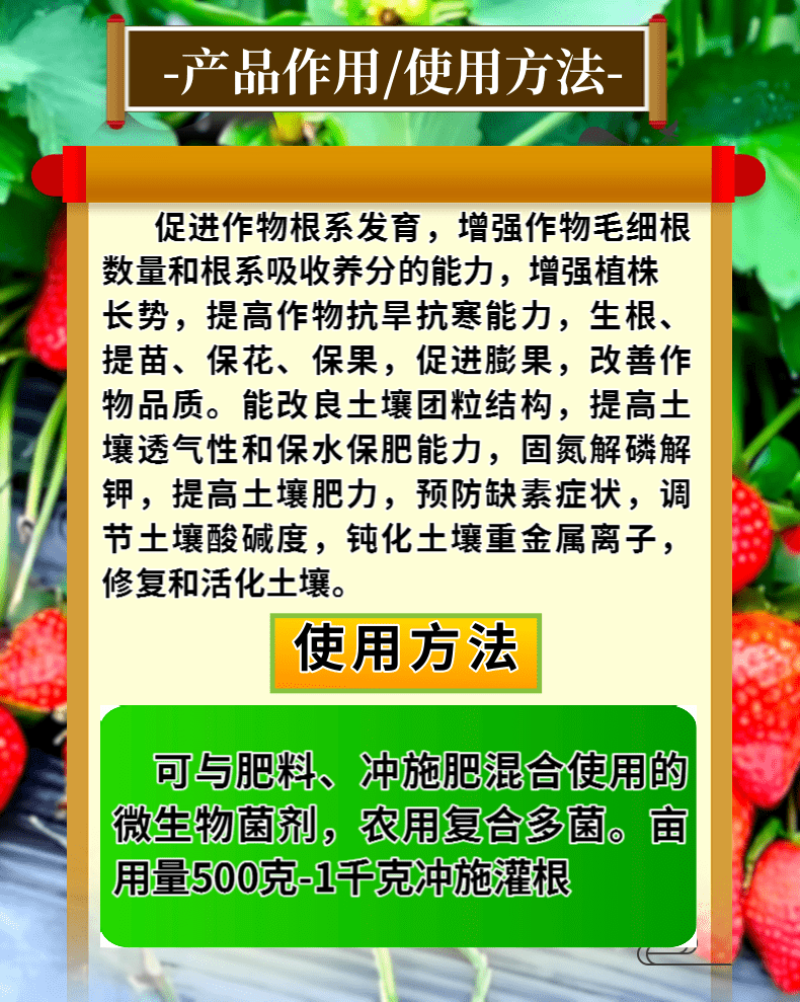 枯草哈茨复合菌四菌合一省时省力改土生根养地调节土壤