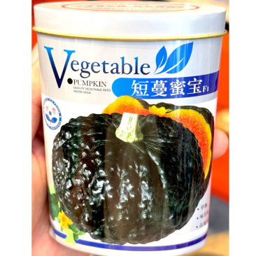 短蔓蜜宝南瓜种子肉质干面细腻果皮墨绿