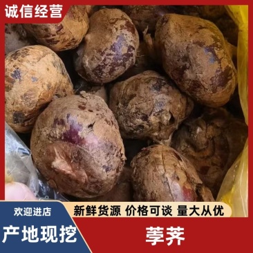 广西荸荠-可对接电商-支持视频看货13个左右一斤
